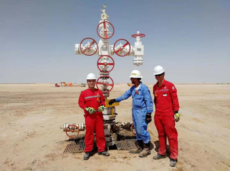 oil and gas surface wellhead