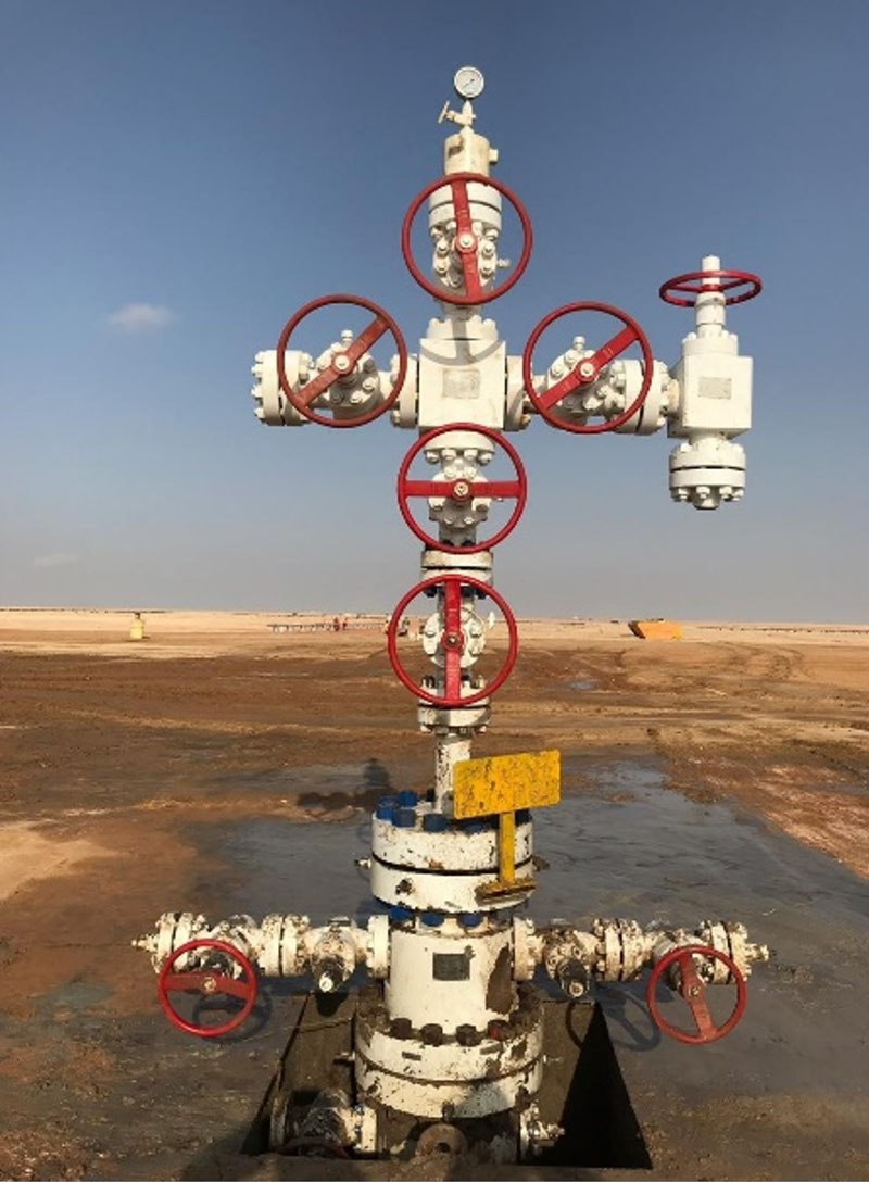 5000pai pr2 wellhead